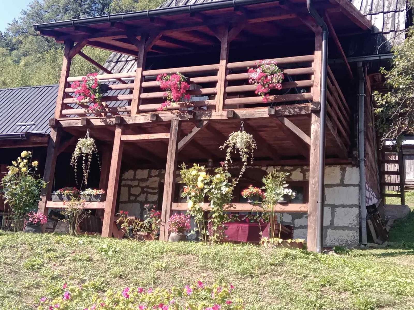 Appartement Dedina Kuca 1937 à Mokra Gora Extérieur photo